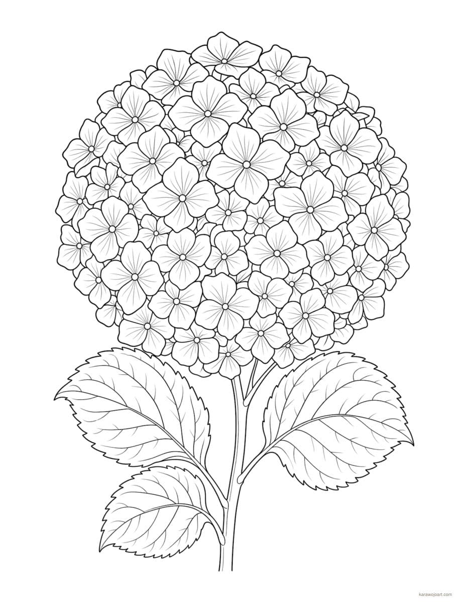 Elegant Botanical Studies — sample interior page 2