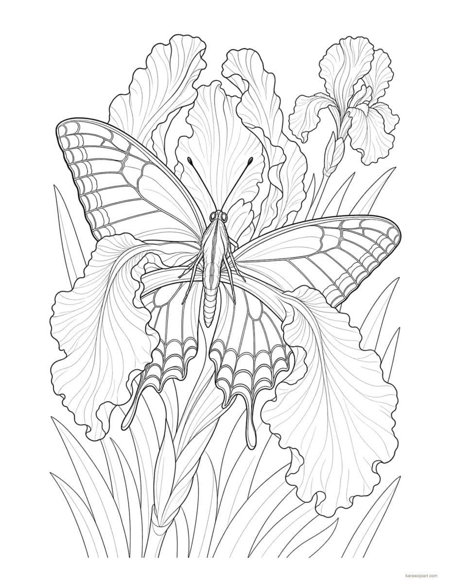 Butterfly Garden — sample interior page 3